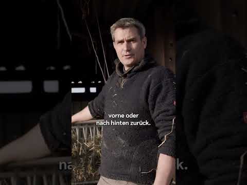 Die Geburt eines Lamms