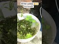 😱🐟my all fish update result dekh ke pagal Ho jaaoge 😱🐟 #fish #planetaquarium #viral #shorts