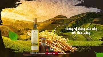 Rượu Vắt Nếp Cái Hoa Vàng (T. Bình Dương) - Đề Cử Và Quảng Bá TOP 100 Sản Phẩm OCOP VN 2023 (P18)