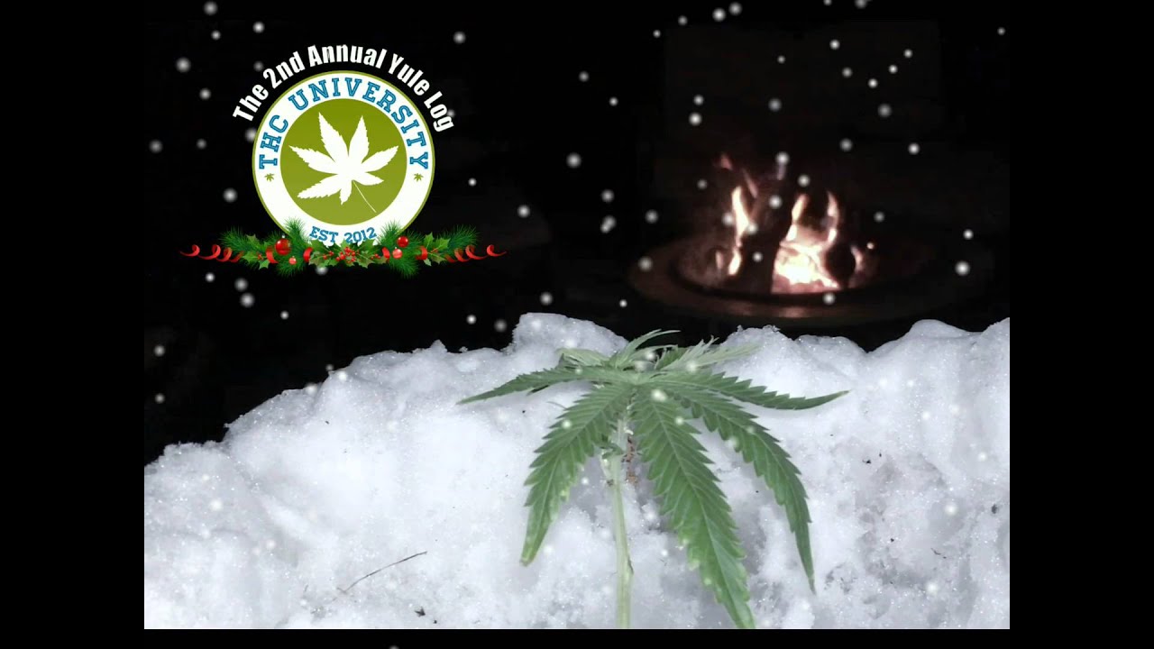 hand embroidery Marijuana Yule Log