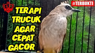 Soft Terapi Agar Trucukan Gacor Sepanjang Hari screenshot 1