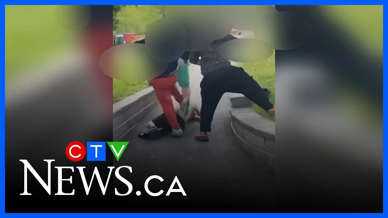 Group involved in violent assault caught on camera