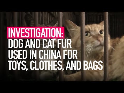 Dog and cat fur used for bags, toys and clothes in China.