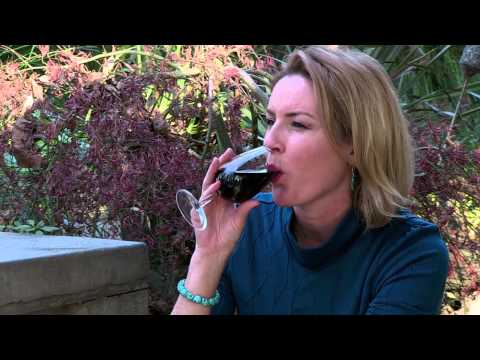 wudu-series-6-episode-15-cape-horn-vineyard