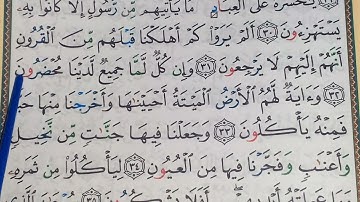 سورة ياسين كلمة بكلمة  //Apprendre sourate yasin (yaseen) facilement mot par mot  //8
