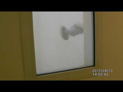 حمامة من داخل فندق برج مودة