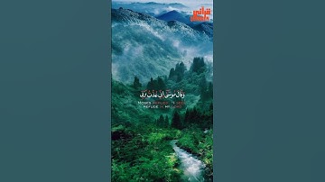 قرآن كريم بصوت خالد الجليل || سورة غافر || حالات واتس اب دينية