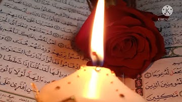صلاة التراويح بصوت شجي خاشع ماشاءالله تلاوة عذبة 2021/1442