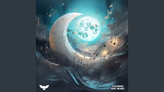 Moonlit Melody