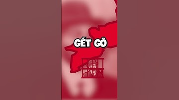 PHAN CHÂU TRINH KHÔNG ỦNG HỘ BÁC HỒ - Phan Châu Trinh là ai!? - P2/3 | Chiếc Sử Này Vui #shorts #29