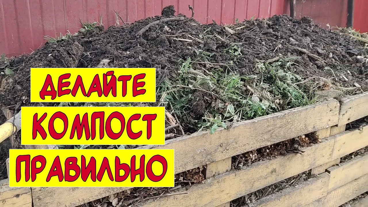 Как сделать компост правильно? Мифы про компост. Компостные ящики.