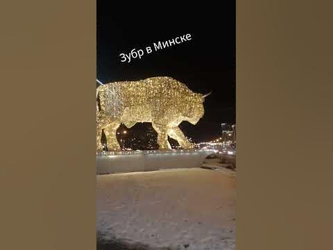 Зубр в Минске - YouTube