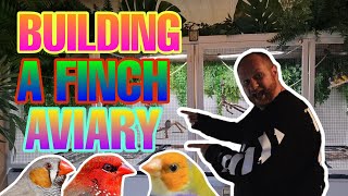 Building a Finch aviary  how I built an indoor aviary for my Finches