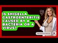 Is Shigella Gastroenteritis Caused By A Bacteria Or A Virus First Response Medicine Is Shigella Gastroenteritis Caused By A Bacteria Or A Virus First Response Medicine
