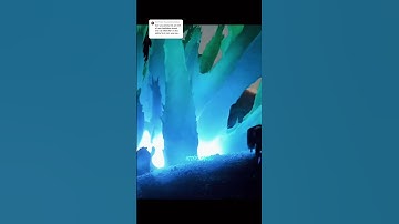 Your edits part. 32 #httyd_fango #edits #httyd #toothless #hiccup