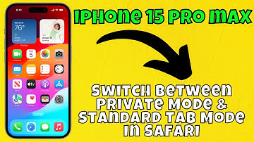 How to Switch Between Private Mode & Standard Tab Mode In Safari iPhone 15 /Pro/Plus