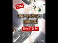 【DTM】ONE~命の灯火~ /湘南乃風 【歌ってみた】 Original cover