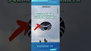 Download Lagu INI SIH SUARA PESAWAT BUKAN SENDARAN LAGI #viralvideo #shortsvideo #trending #layangan MP3