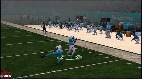 NFL2K5R - Tipped passes can go either way
