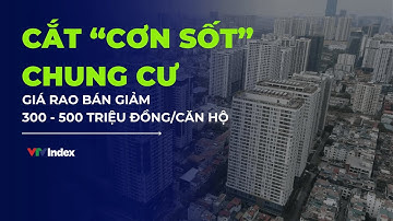 Cắt “cơn sốt” chung cư tại Hà Nội: giá rao bán giảm 300 - 500 triệu đồng/ một căn hộ | VTVIndex