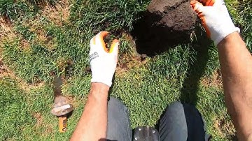 LIVE DIG ACTION!! Nokta Legend LG15 at eye candy park. Pitch tones!!