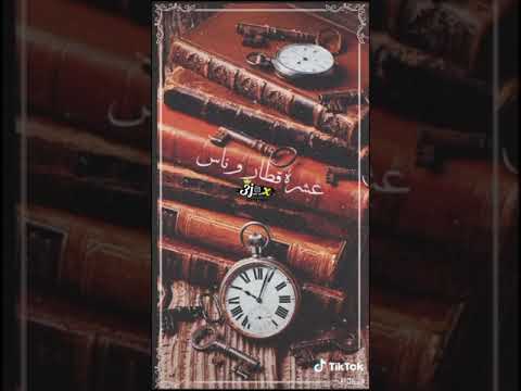 محمد عبد الجبار و مصطفى الربيعي