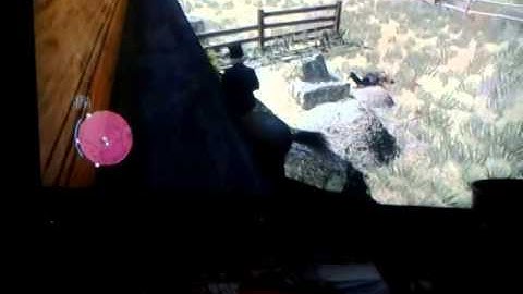 Red Dead Redemption Online: Nigel kills the Hacked Guy!