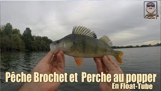 Pêche du Brochet et de la Perche au popper en float tube (re-upload)