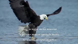 Псалом 90. Живущий под кровом Всевышнего под сенью Всемогущего покоится