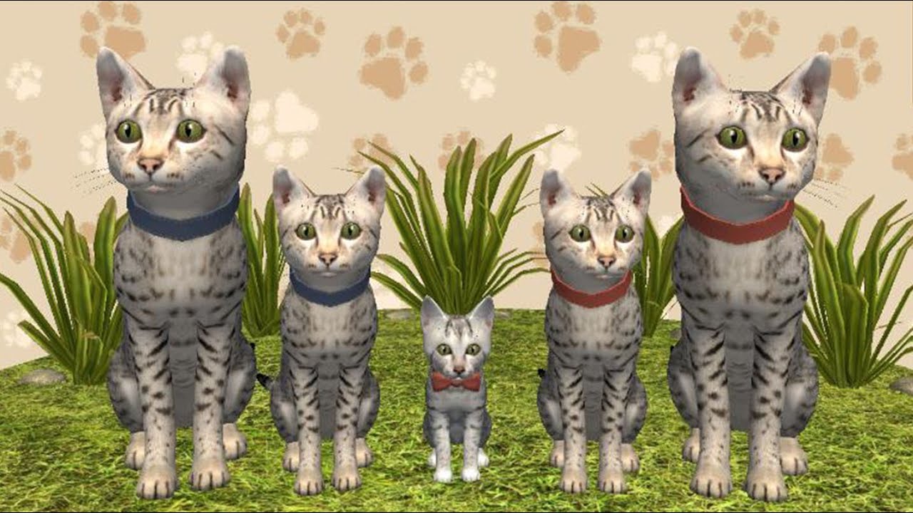 3 кота интернет. Симулятор кота и кошки. Симулятор кота и кошки семья. Игра котята 3д. Котенок кошка симулятор 3d.