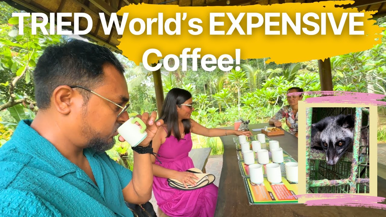 We Tasted World’s Most Expensive Coffee in Bali 😲 | Luwak Coffee Experience