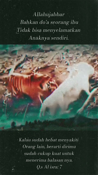 Story wa macan putih vs macan loreng 2025 #Miyawmiyaw #shorts #harimau #macan