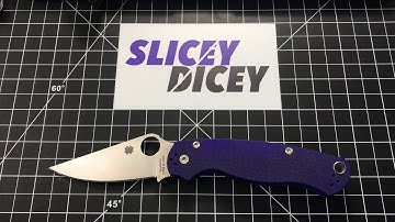 Spyderco Paramilitary 2 S110V Long-Term Review (Best value PM2?)