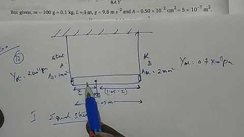 Physics Class 11 Ch 13 Elasticity Numericals on Youngs modulus