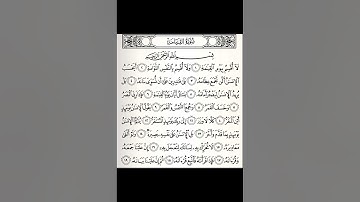 سورة القيامة | علاء عقل