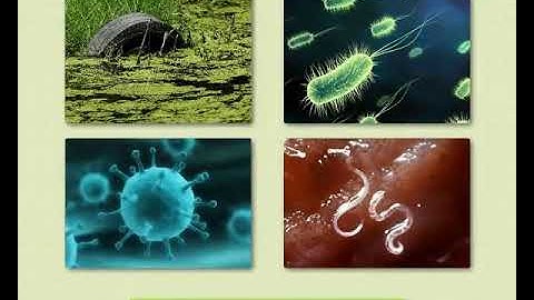 Science concept जल प्रदूषण - Water Pollution (9-10 grade) Marathi med