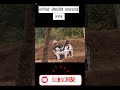 माग्नेको औसधीले मास्टरलाई तनाब #funny #comedy #shorts #viral