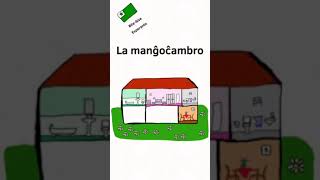 Bite-Size Esperanto. En la domo (the rooms in a house)  #shorts