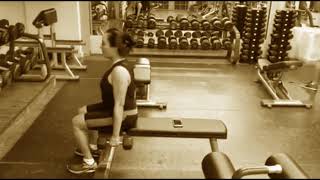 Agachamento Sentando No Banco