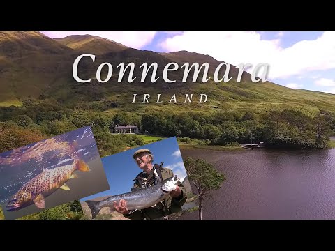 Video: Traditionell mat att äta i Irland