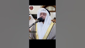 ألم نجعل لهُ عينين-تلاوة مؤثرة