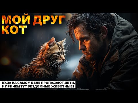 МОЙ ДРУГ КОТ. ПСИХОЛОГИЧЕСКИЙ ТРИЛЛЕР. Страшные рассказы