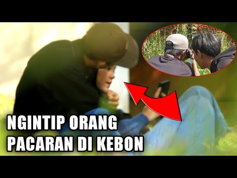 NGINTIP ORANG LAGI MANTAP MANTAPAN DITAMAN