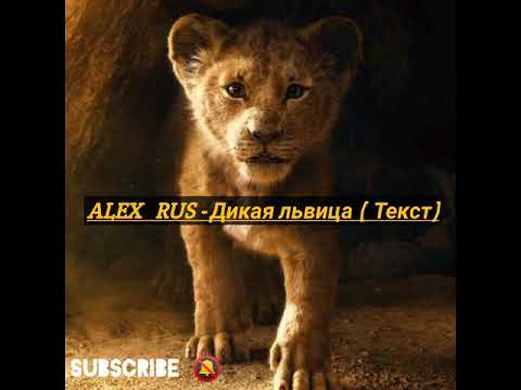 ALEX   RUS - Дикая львица (  Текст 🦁)