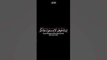 والذين تدعون من دونه | كرومات سوداء القران الكريم | القارئ ياسر الدوسري