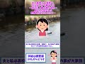 【2ch修羅場】夫の家族は大家族で、夫は末っ子で長子とは一回り以上歳の差がある→周りからは夫との結婚を反対されたけど…【ゆっくりショート版】#short