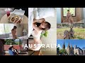 【Melbourne Vlog】大自然に癒されました🐨🇦🇺 写真集/メイキング/オーストラリア旅/グルメ