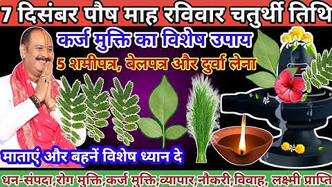 7 दिसम्बर पौष रविवार तृतीया तिथि। 5 शमी पत्र और दुर्वा से कर्ज मुक्ति🙏#रविवार​ #pradeepmishra​ #upay
