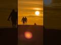 #sunset #viralvideo #shortvideos #spain #sand #dunes #spain #city #vacation #tour