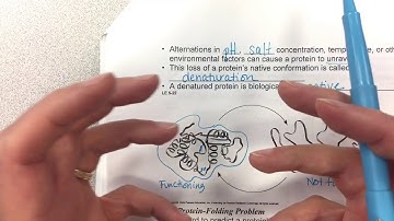 Chapter 3 Part 5 Proteins/ Nucleic Acids